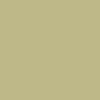 CONDOR PAPER BACK PISTACHIO 2.72x11m