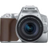 Canon EOS 250D Kit (EF-S 18-55mm f4-5.6 IS STM) Silver 