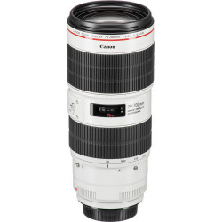 Canon EF 70-200mm f/2.8L IS III USM 