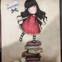 SANTORO ΘΗΚΗ IPAD 445GJ02