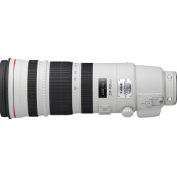 Canon 200-400mm f/4L IS USM Extender 1.4x
