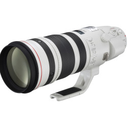 Canon 200-400mm f/4L IS USM Extender 1.4x