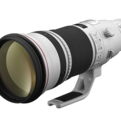 Canon EF  500 mm f/4.0 L IS II USM